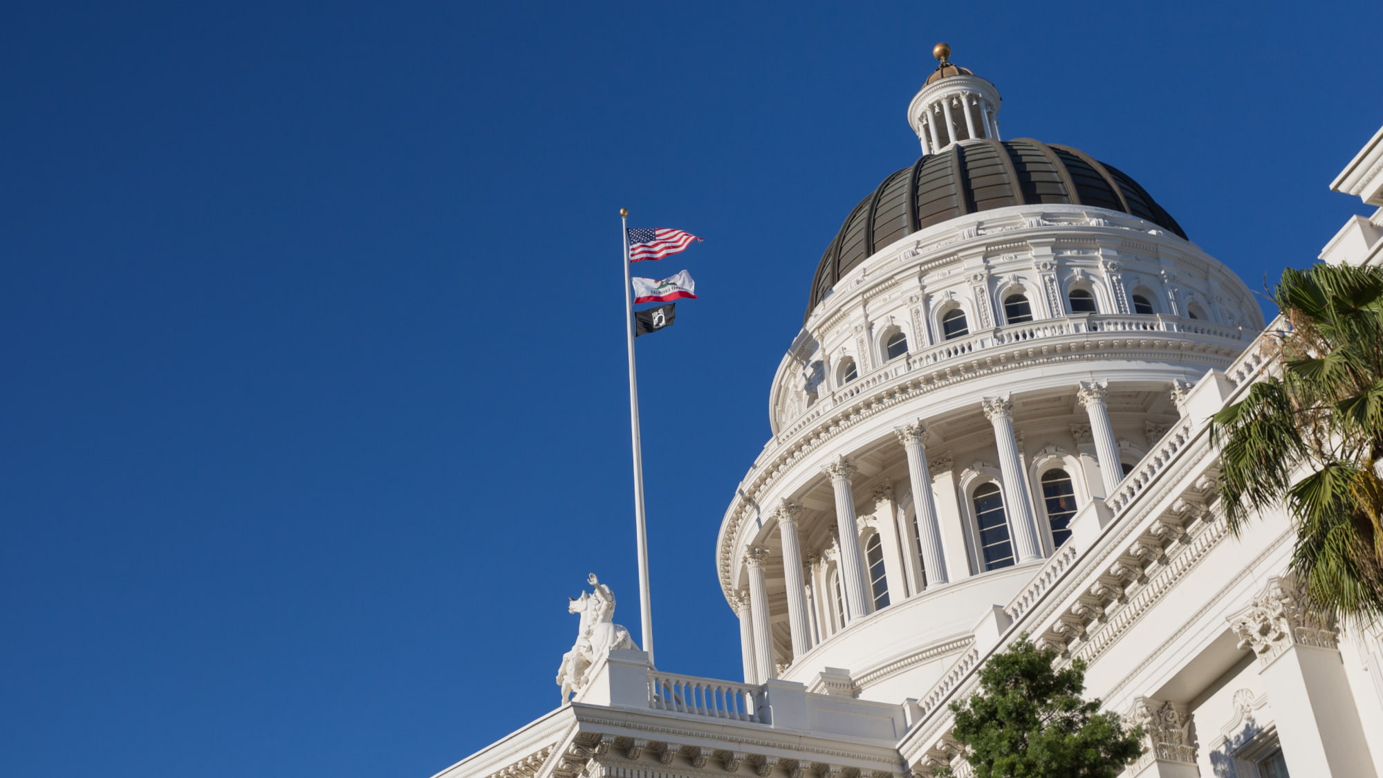 California’s Climate Legislation: What It Means For You | Crowe LLP